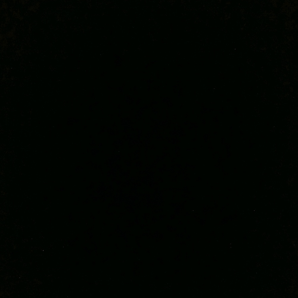 Meet your Posher, Lane